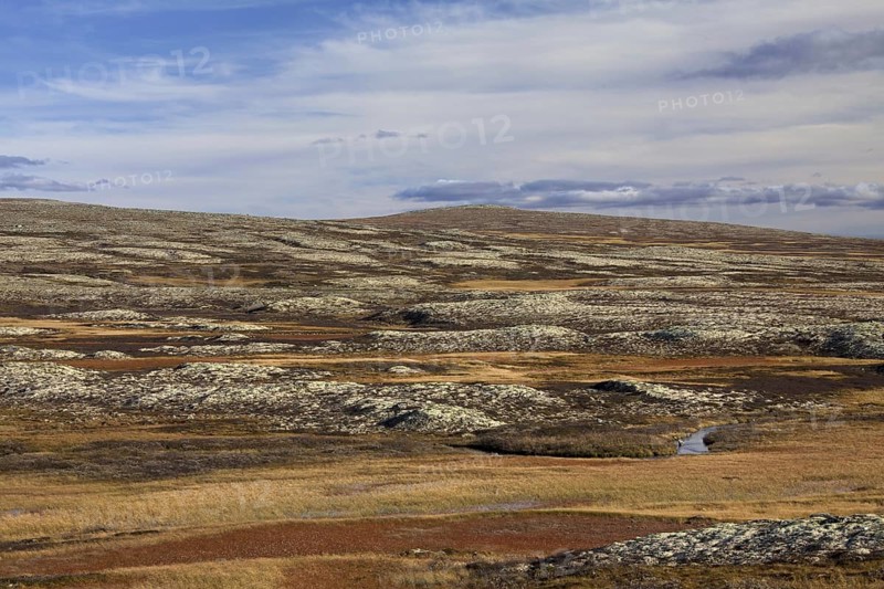 Tundra landscape in autumn at the Rondane National Park
