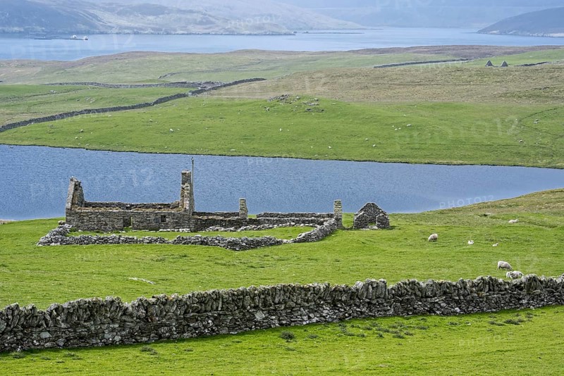 Remains of croft