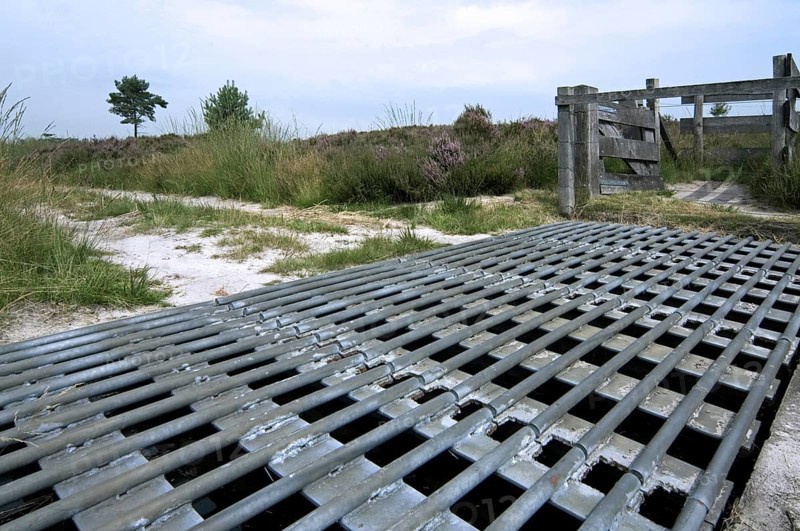 Steel cattle grid in sheep enclosure in heathland