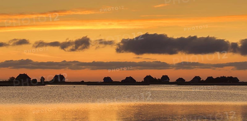 Beach houses along the Baltic Sea on the peninsula Graswarder silhouetted against sunset sky in summer