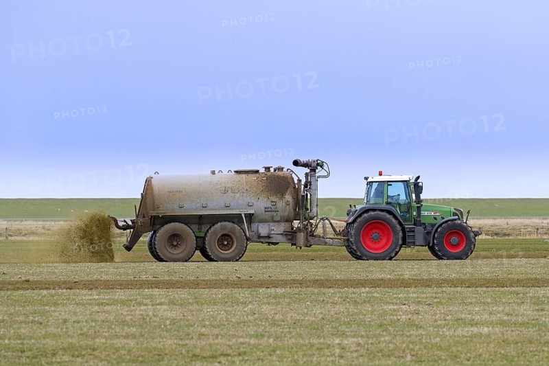 Farmer in Fendt 818 tractor with muck spreader distributing