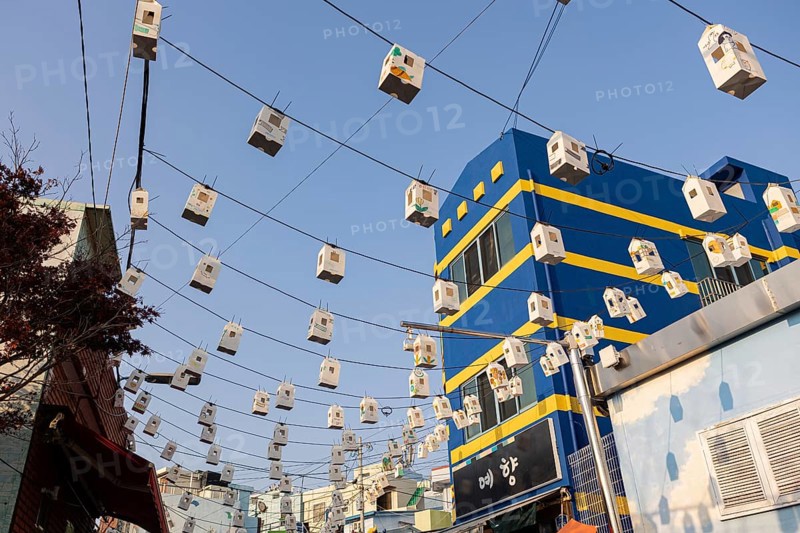 Hand-painted lanterns