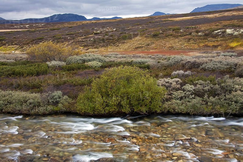Store Ula River in the Rondane National Park