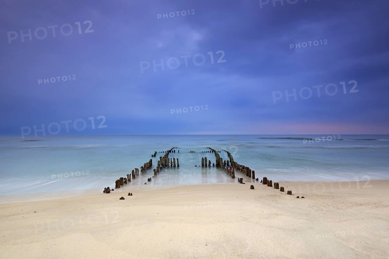 Remnant of old weathered wooden groyne