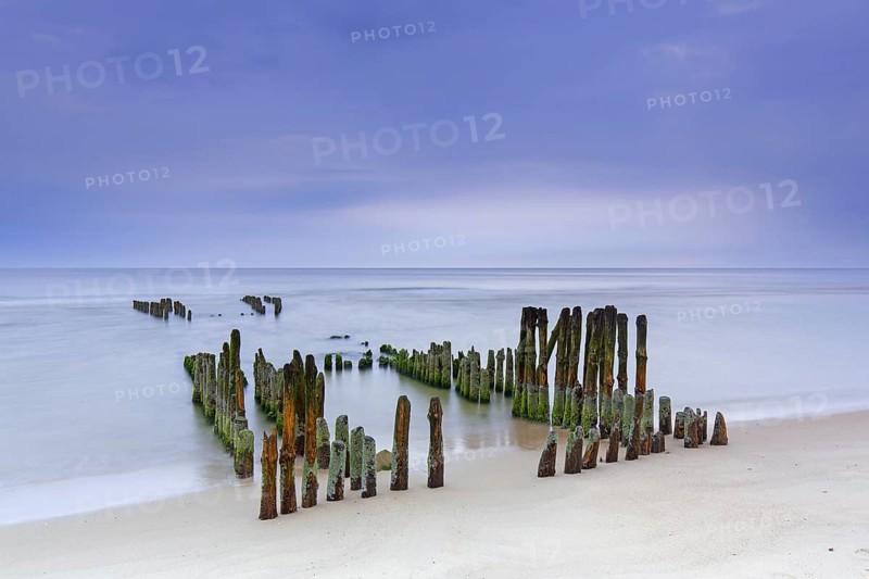 Remnant of old weathered wooden groyne