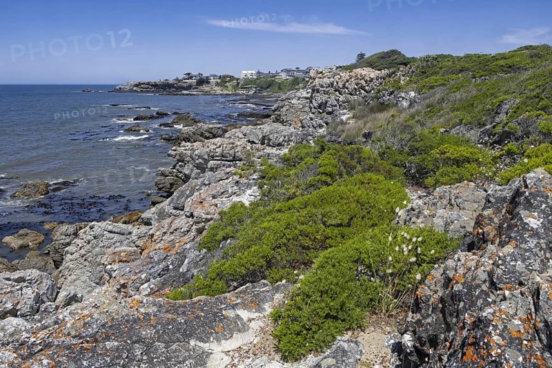 View over the Atlantic Ocean and rocky coastline along Cliff Path