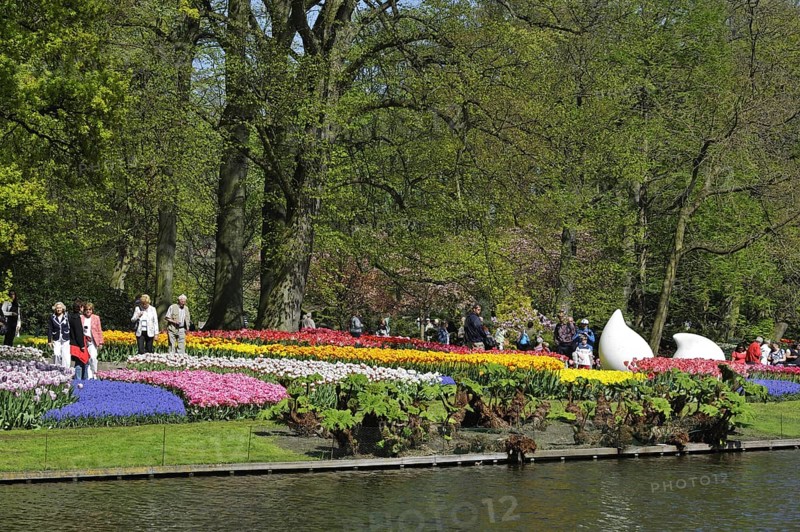 Tourists walking among colourful tulips