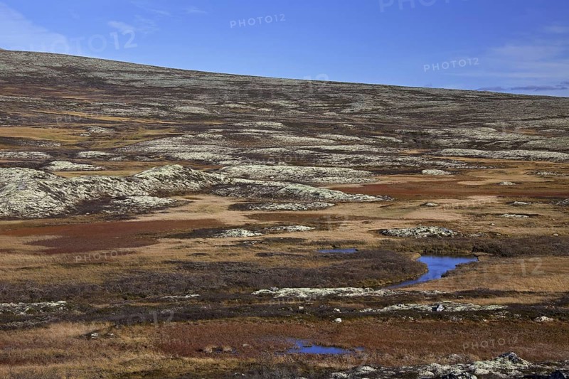 Tundra landscape in autumn at the Rondane National Park