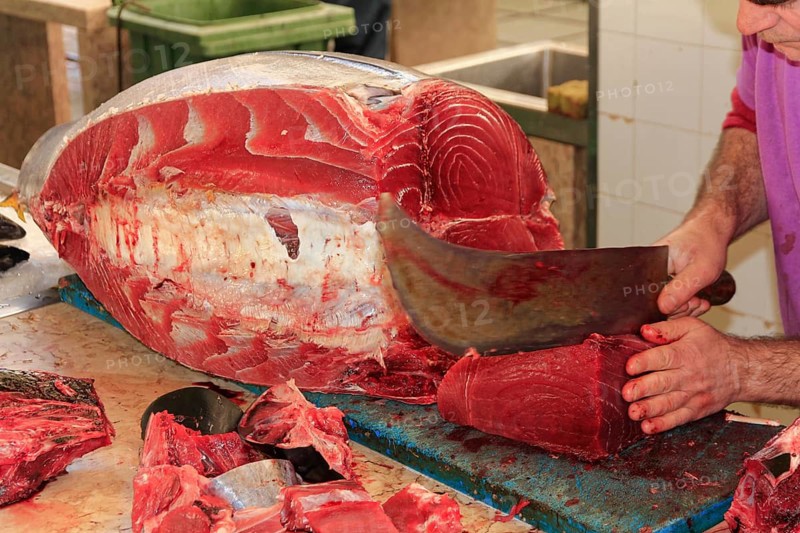 Tuna