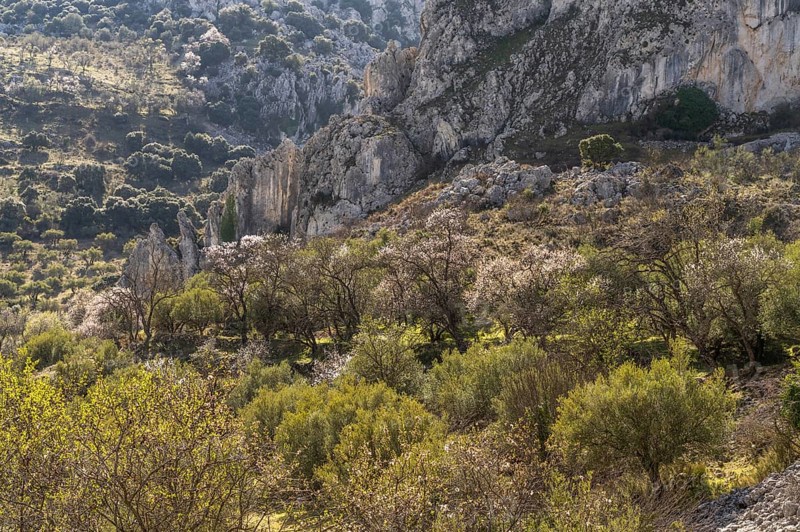 Landscape along the hiking trail of the Rio Bailon near Zuheros