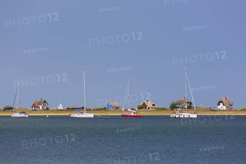 Sailing boats and beach houses along the Baltic Sea on the peninsula Graswarder