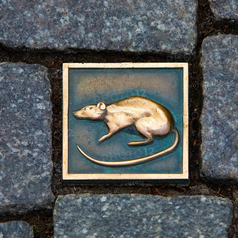 Rat Stone