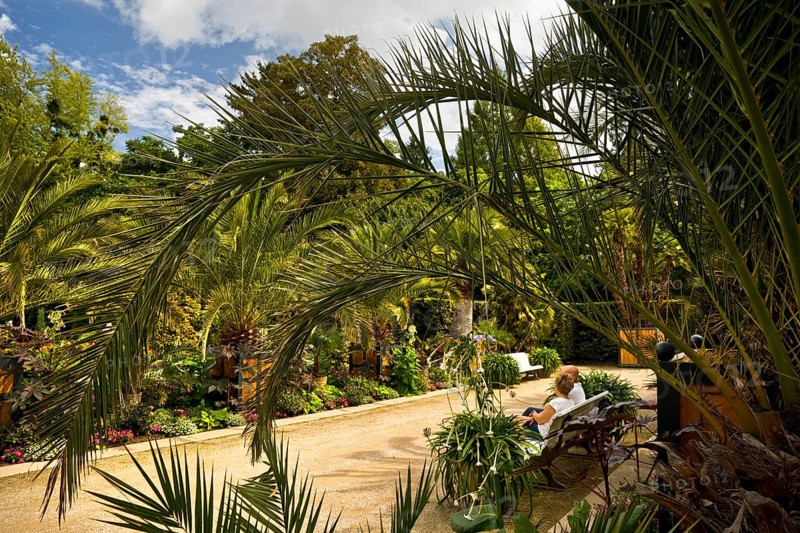 Palm Garden