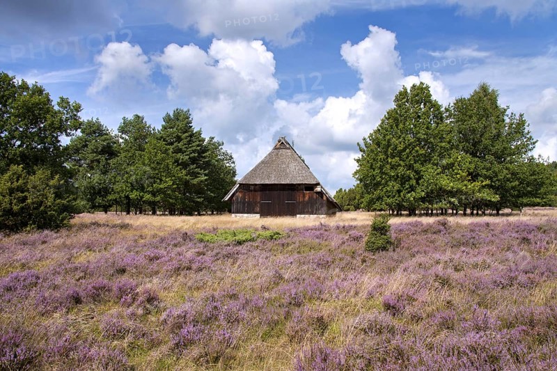 Sheepfold