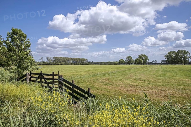 Wooden gate in freshly mowed grassland