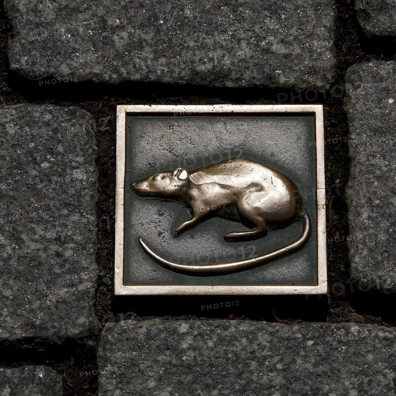 Rat Stone
