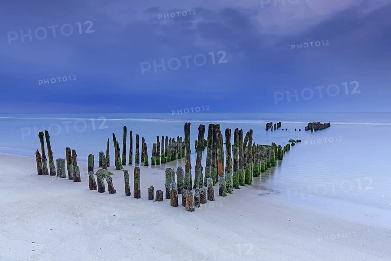 Remnant of old weathered wooden groyne