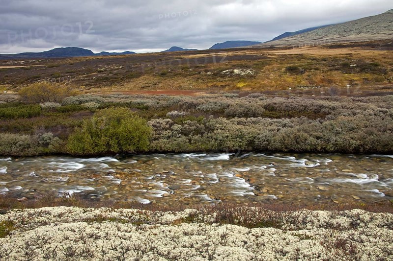 Store Ula River in the Rondane National Park