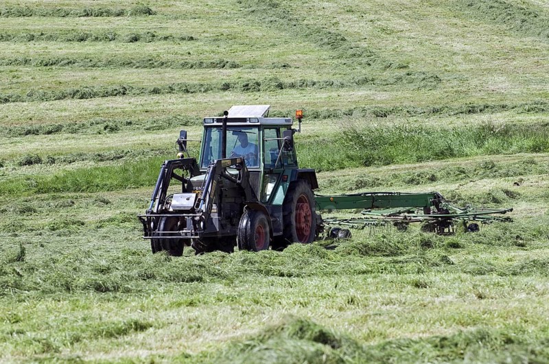 Tractor with circular rake raking cut grass for hay making on grassland