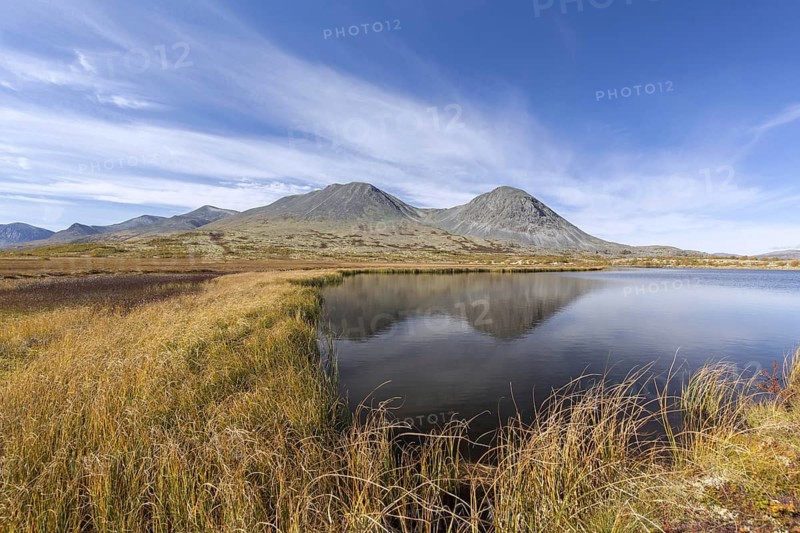 Bog and the Stygghoin