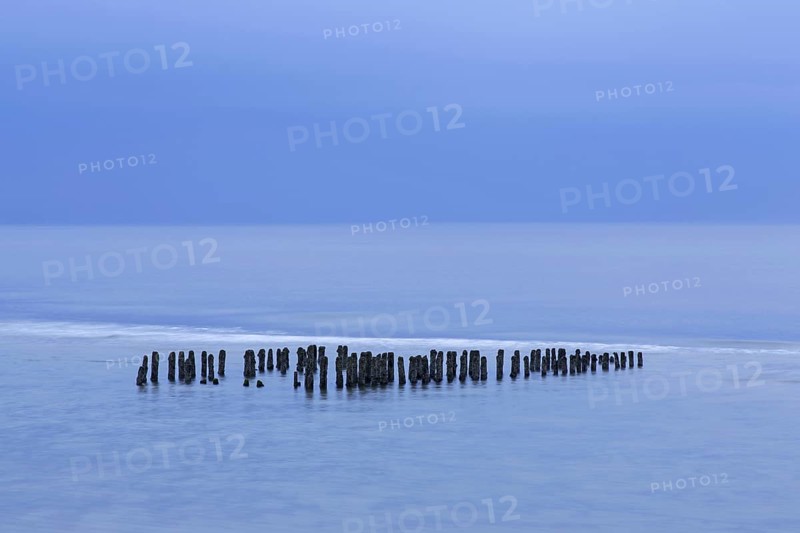 Remnant of old weathered wooden groyne