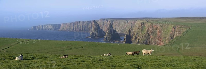 Duncansby Stacks