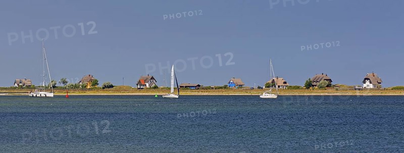 Sailing boats and beach houses along the Baltic Sea on the peninsula Graswarder