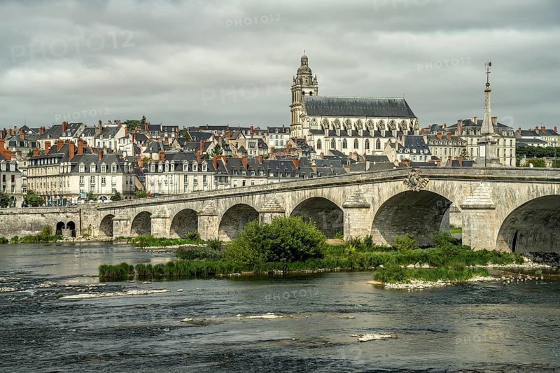 City view with the bridge over the Loire and the Roman Catholic Cathedral Saint-Louis