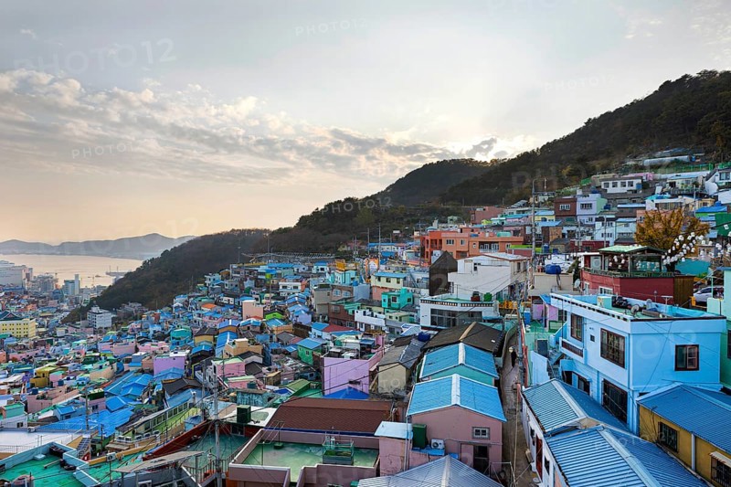 Colourful houses and bay