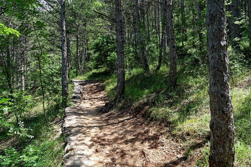 Natural hiking trail through the forest in Paklenica National Park in northern Dalmatia. Paklenica Starigrad