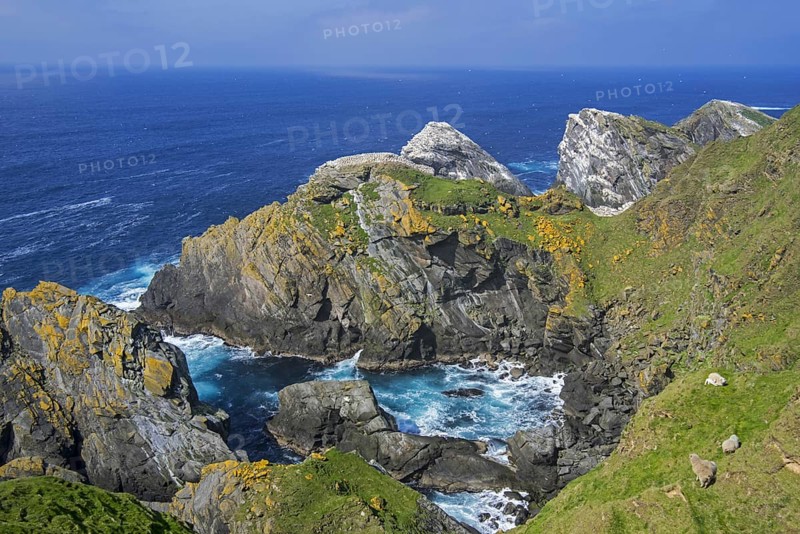 Spectacular coastline with sea cliffs