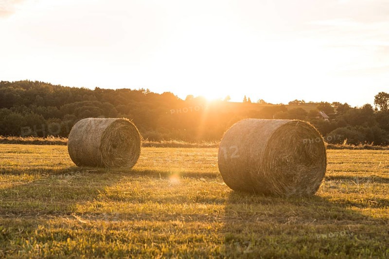 Beautiful landscape with rolls hays sunset