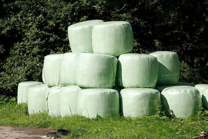 Grass silage packed with green plastic sheeting