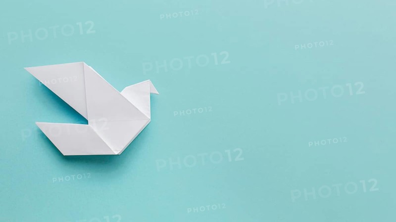 Flat lay paper dove with copy space