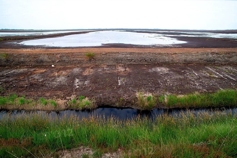Peat extraction