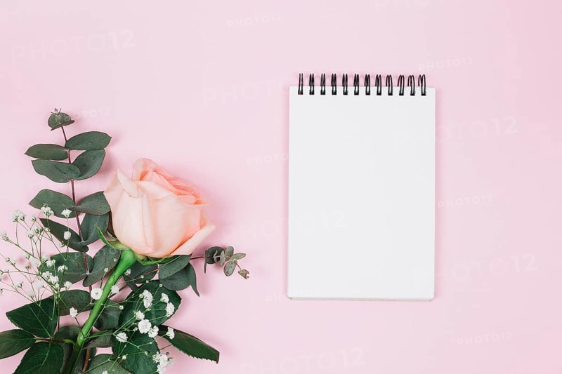 Blank spiral notepad with rose gypsophila flower against pink background