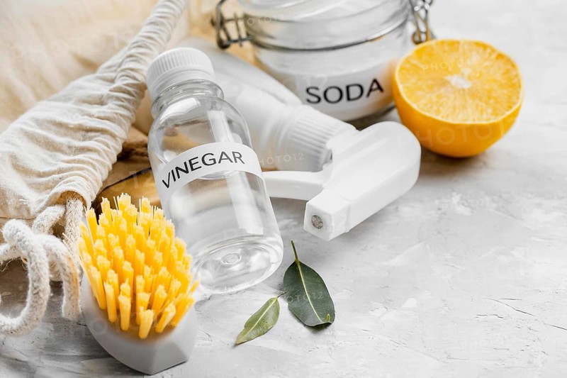 High angle eco friendly cleaning brushes with vinegar lemon