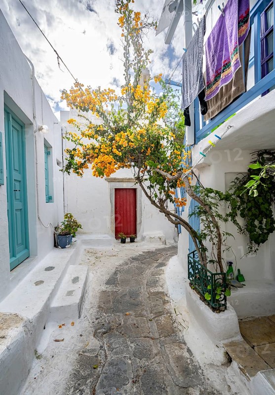 White Cycladic houses with colourful shutters and doors and yellow bougainvillea