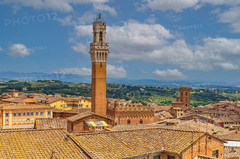 Above the rooftops of Siena with a view of the Torre del Mangia bell tower