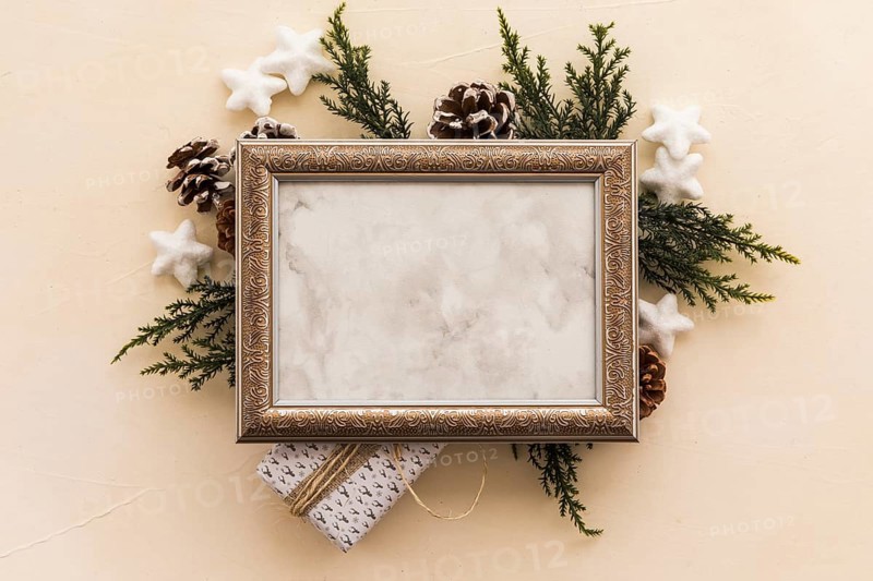 Blank frame green branches
