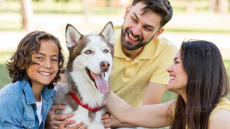 Happy boy posing park with dog parents