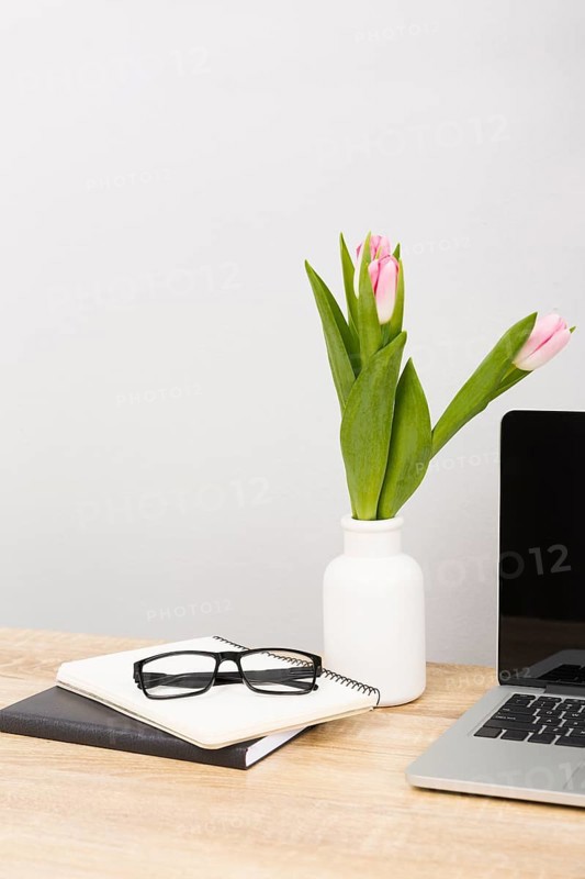 Front view glasses tulips