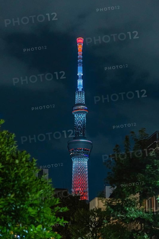 Tokyo Skytree illuminated at night