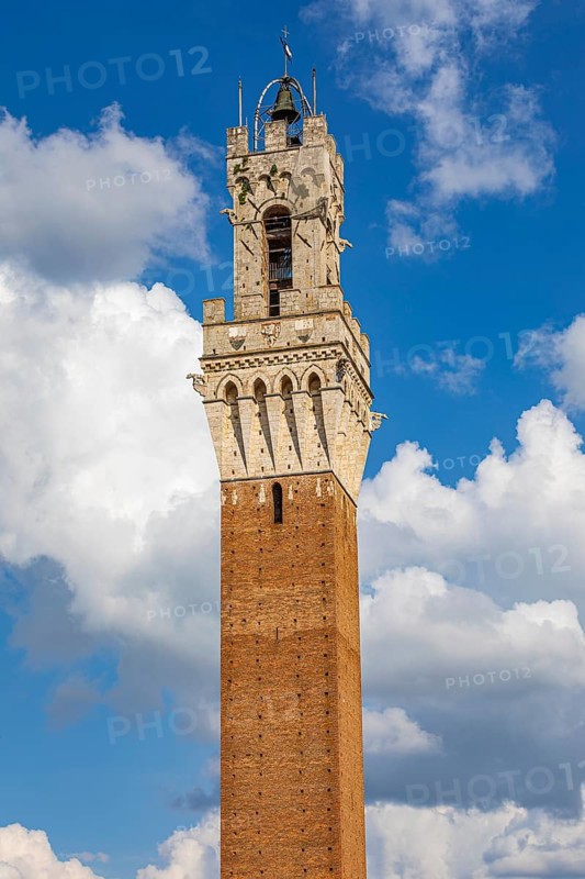 The bell tower Torre del Mangia