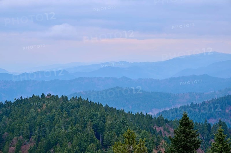 Mountain top