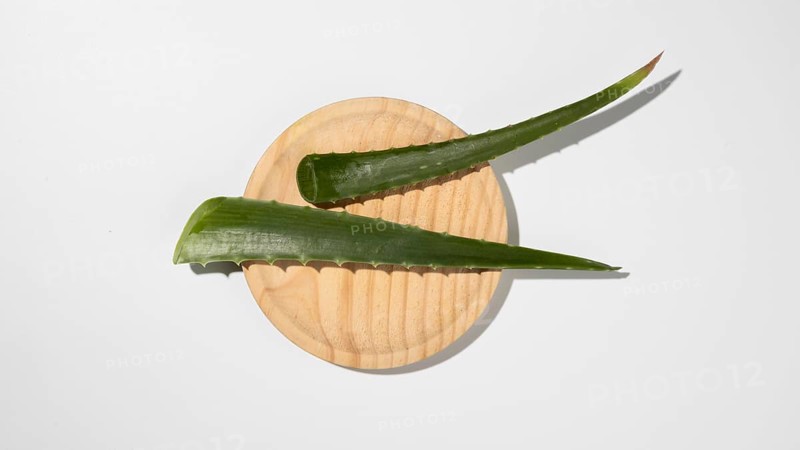 Top view aloe vera beauty concept