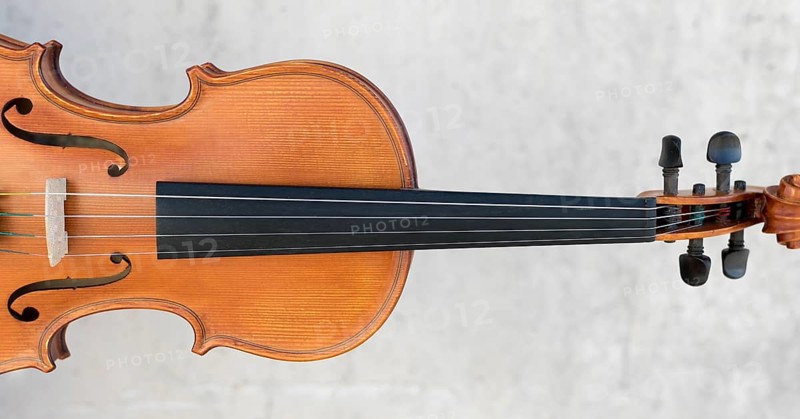Front view violin
