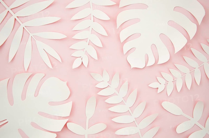 Artificial leaves paper cut style with pink background
