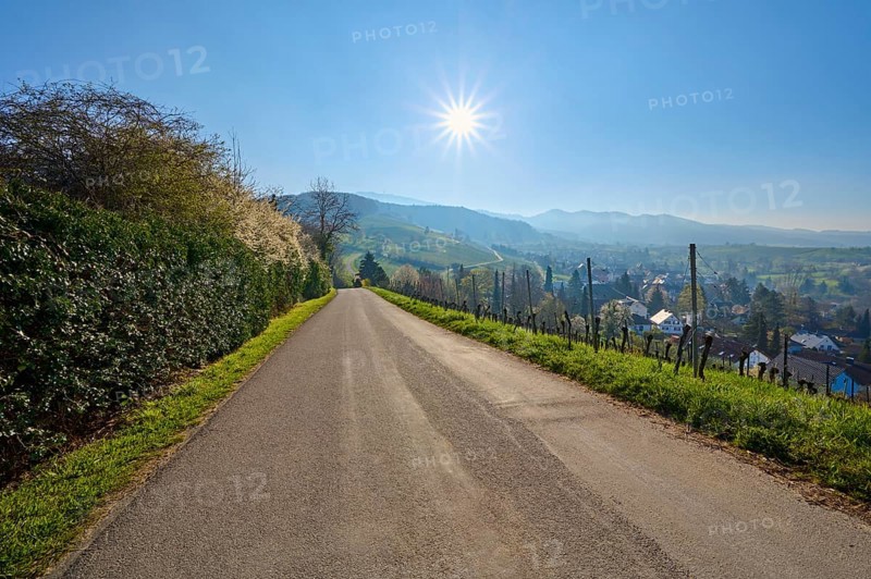 Road