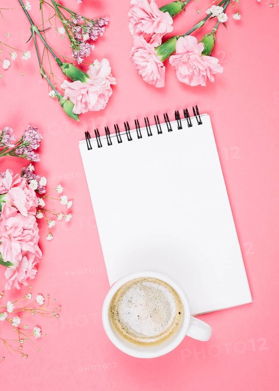 Overhead view coffee cup blank notepad with carnations gypsophila